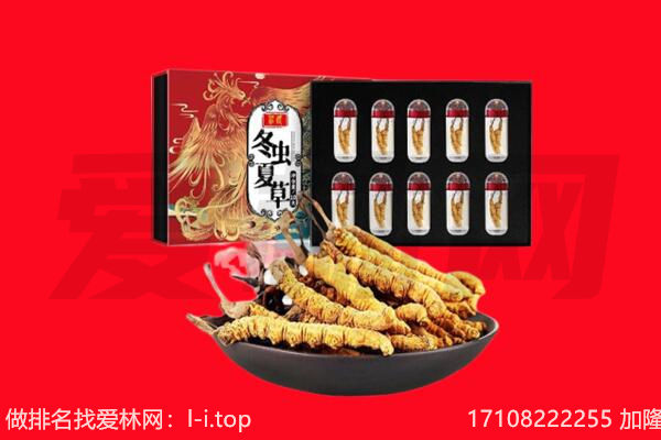 新罗区回收虫草.jpg